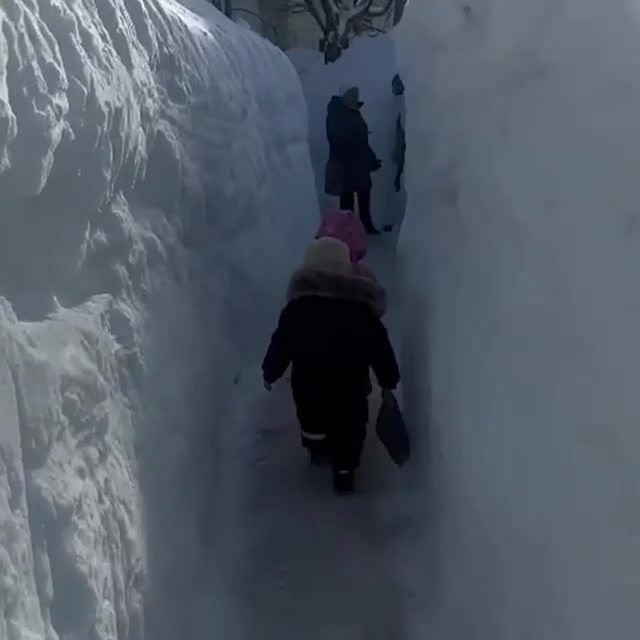 В Петропавловске-Камчатском после череды мощных циклонов высота сугробов достигла трех метров. 1001708761316 81918